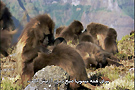منبع: www.p30download.com