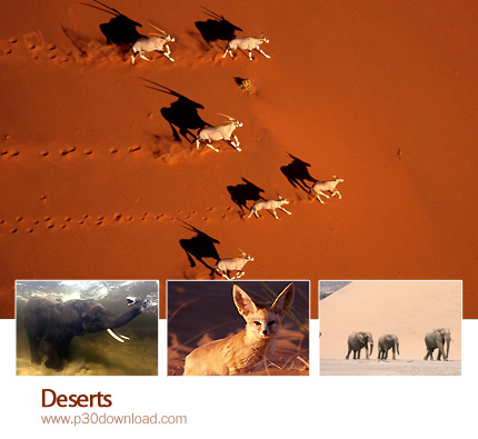 منبع: www.p30download.com